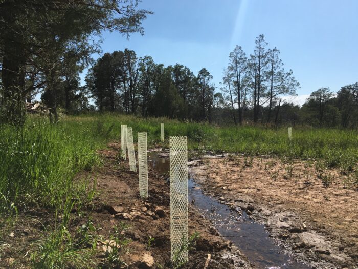 A stream with markers