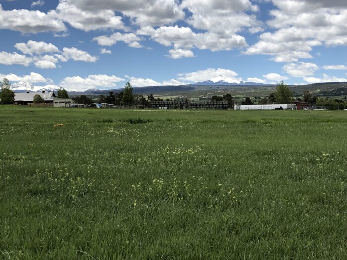 A view of green fields