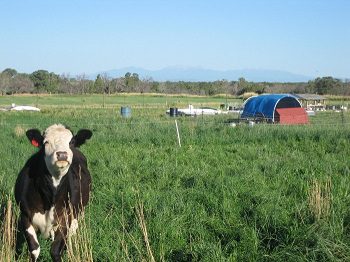 Indian Ridge Farm