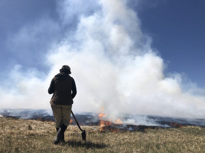 A man burning grass