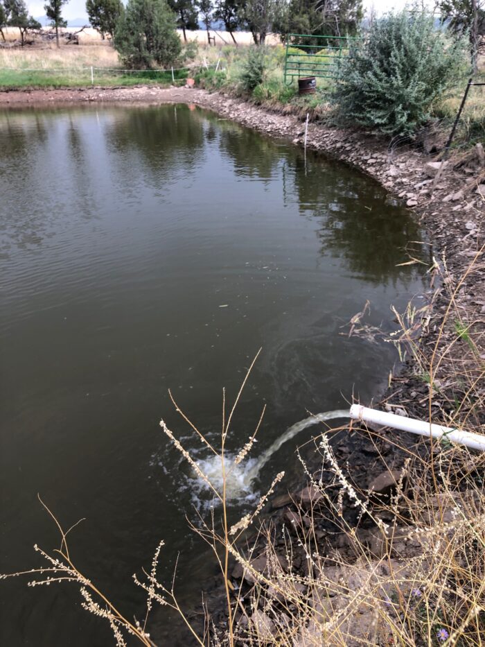 A pond with flowing water