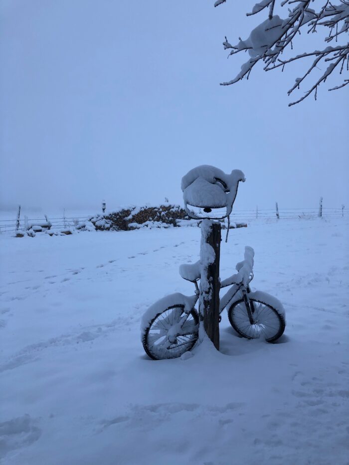 Snow covered post and bike